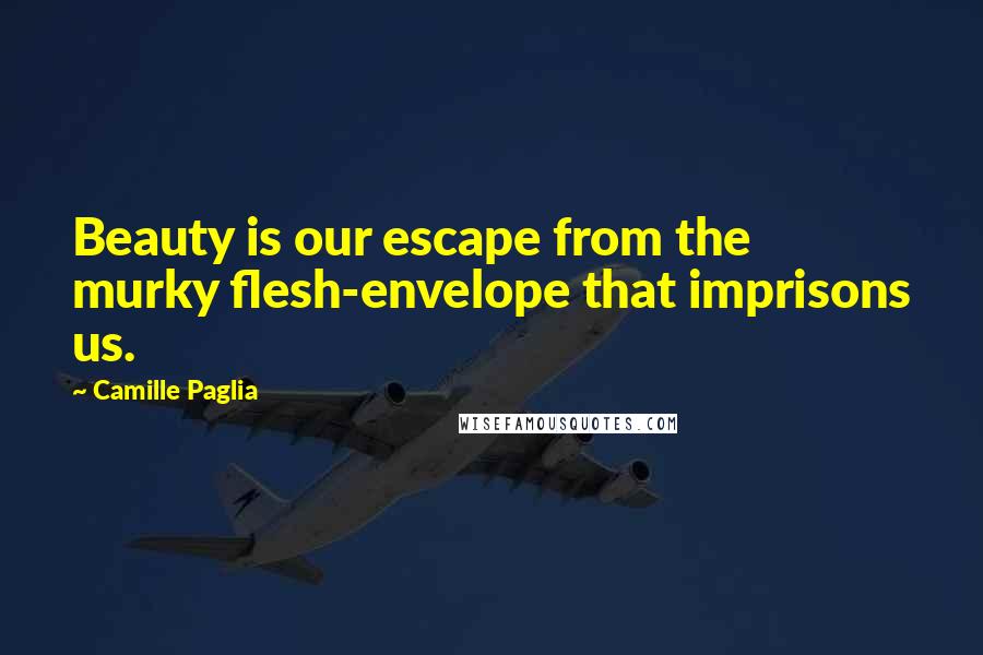 Camille Paglia quotes: Beauty is our escape from the murky flesh-envelope that imprisons us.