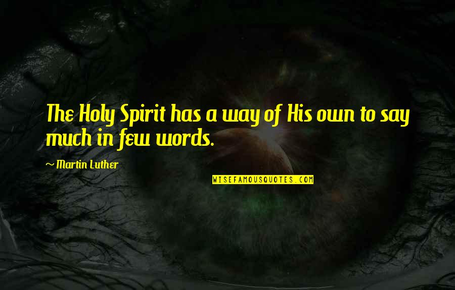 Camisas Quotes By Martin Luther: The Holy Spirit has a way of His