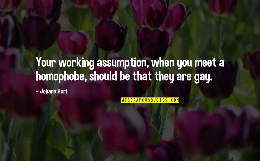 Cammon Quotes By Johann Hari: Your working assumption, when you meet a homophobe,