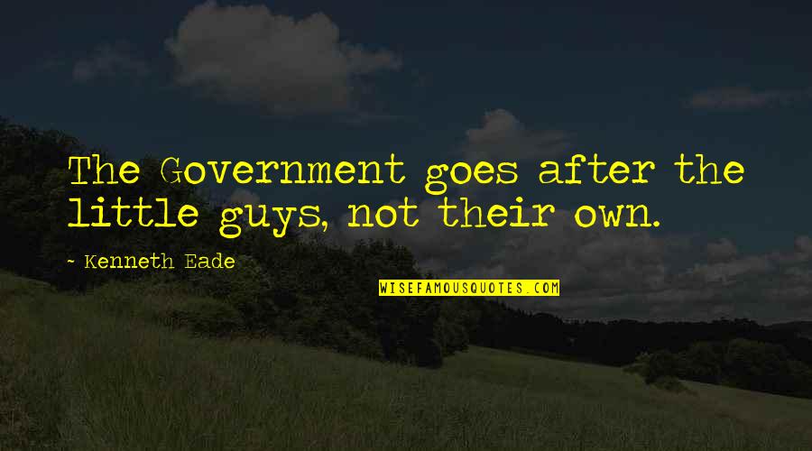 Campaigned Quotes By Kenneth Eade: The Government goes after the little guys, not