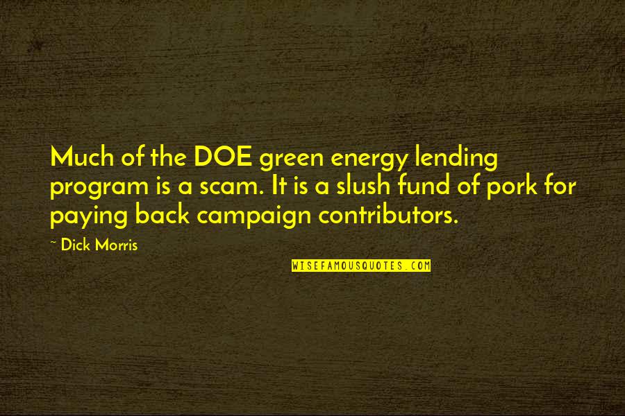 Campaigns Quotes By Dick Morris: Much of the DOE green energy lending program