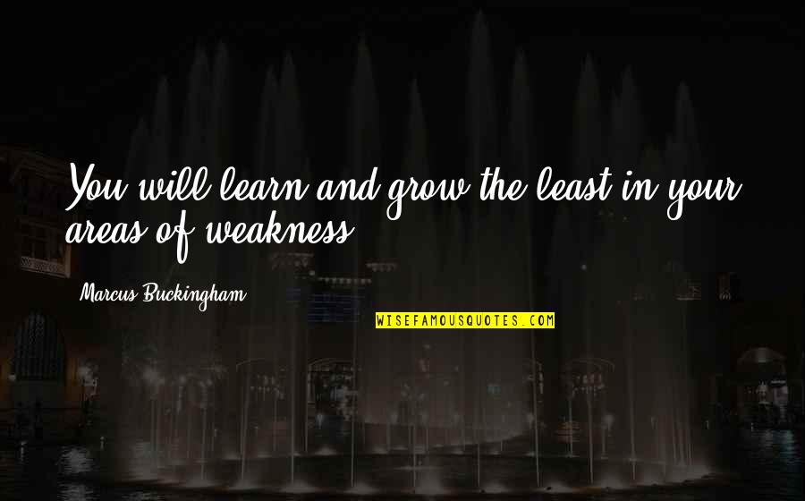 Campaspe Lyly Quotes By Marcus Buckingham: You will learn and grow the least in Campaspe Lyly Quotes By Marcus Buckingham: You will learn and grow the least in