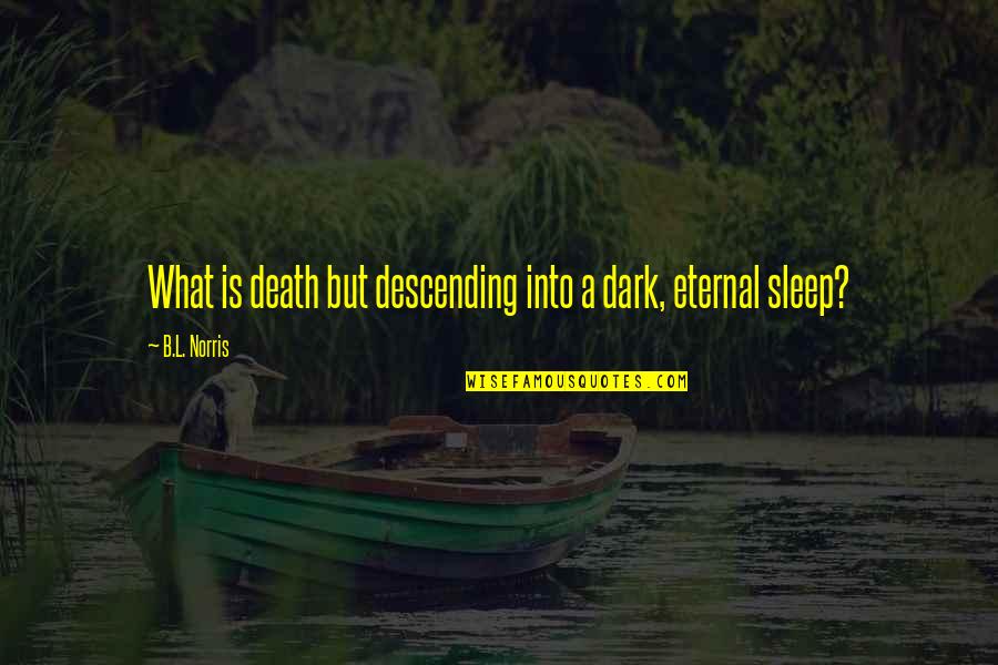 Campeonato Paulista Quotes By B.L. Norris: What is death but descending into a dark,