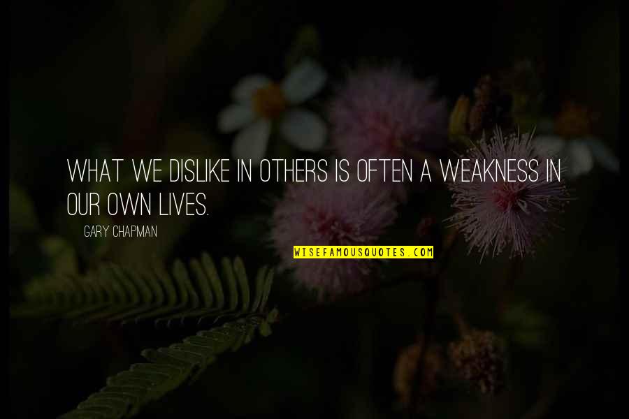 Campervans Quotes By Gary Chapman: What we dislike in others is often a