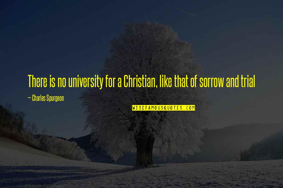 Campoamor Dairy Quotes By Charles Spurgeon: There is no university for a Christian, like