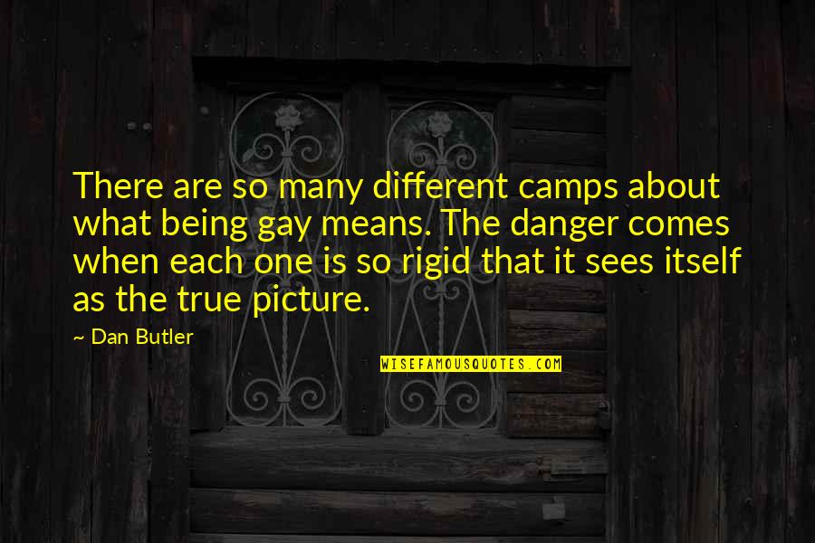 Camps Quotes By Dan Butler: There are so many different camps about what