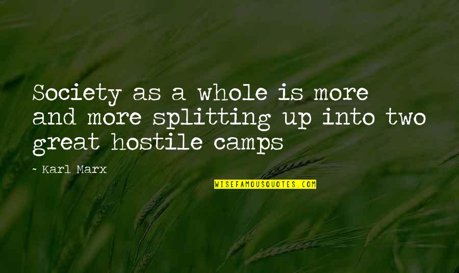 Camps Quotes By Karl Marx: Society as a whole is more and more