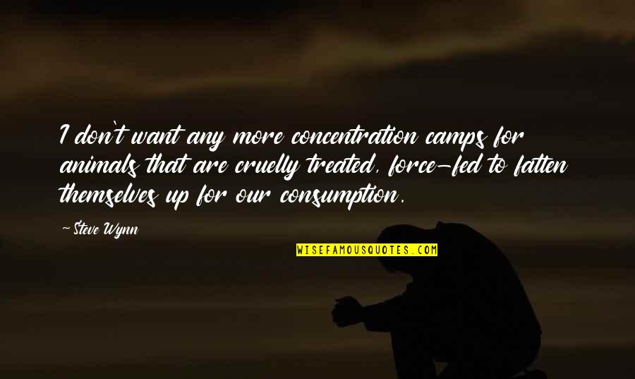 Camps Quotes By Steve Wynn: I don't want any more concentration camps for