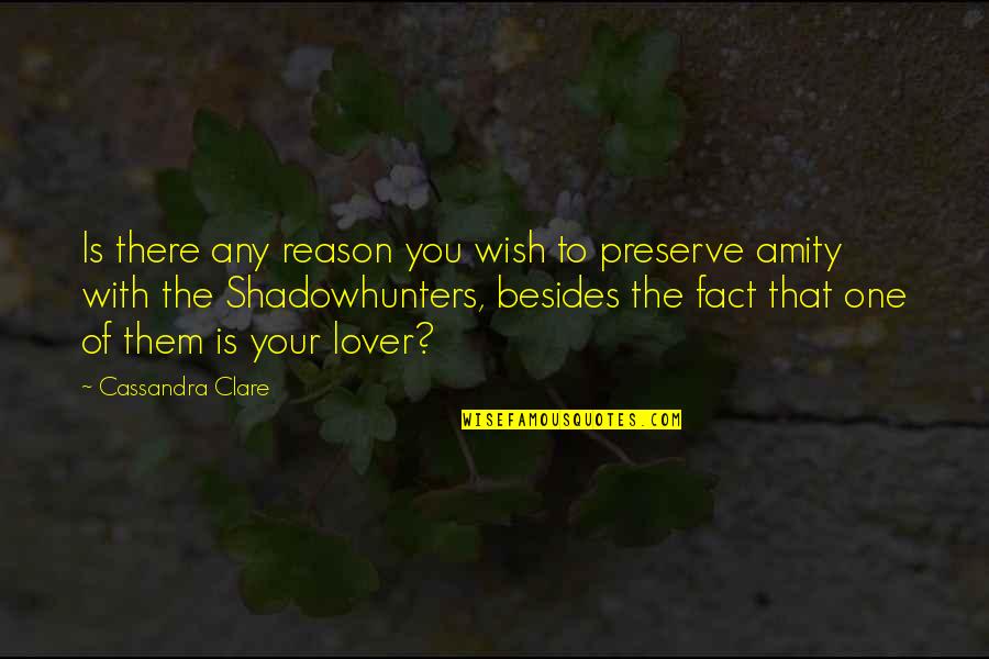 Campus Ministry Quotes By Cassandra Clare: Is there any reason you wish to preserve