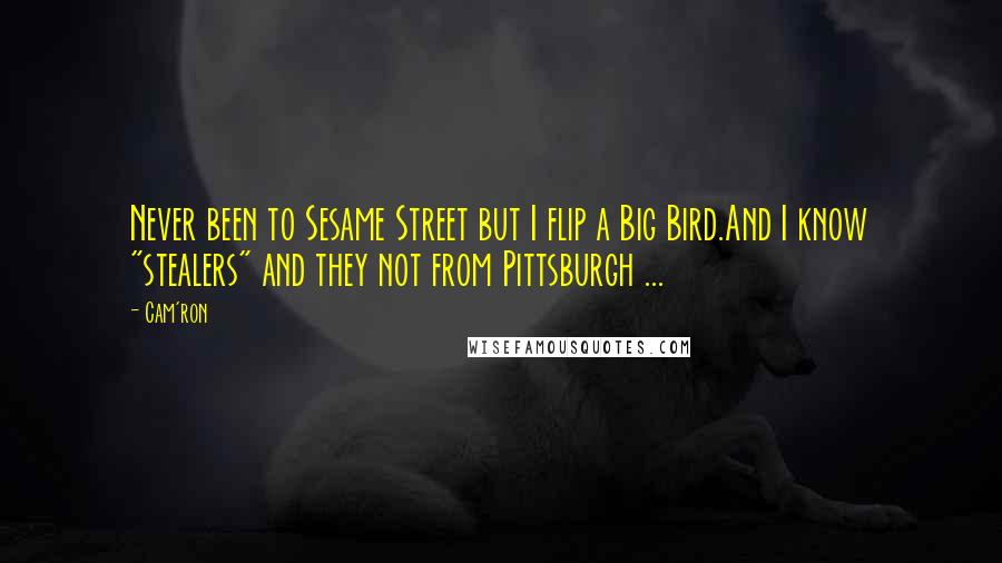 Cam'ron quotes: Never been to Sesame Street but I flip a Big Bird.And I know "stealers" and they not from Pittsburgh ...