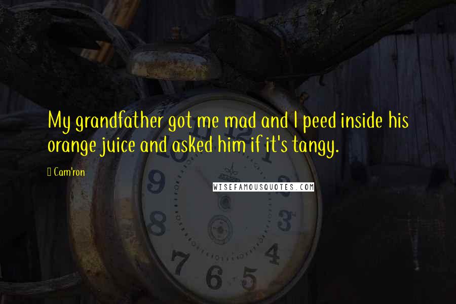 Cam'ron quotes: My grandfather got me mad and I peed inside his orange juice and asked him if it's tangy.