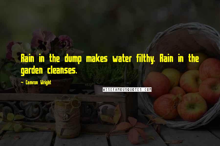 Camron Wright quotes: Rain in the dump makes water filthy. Rain in the garden cleanses.