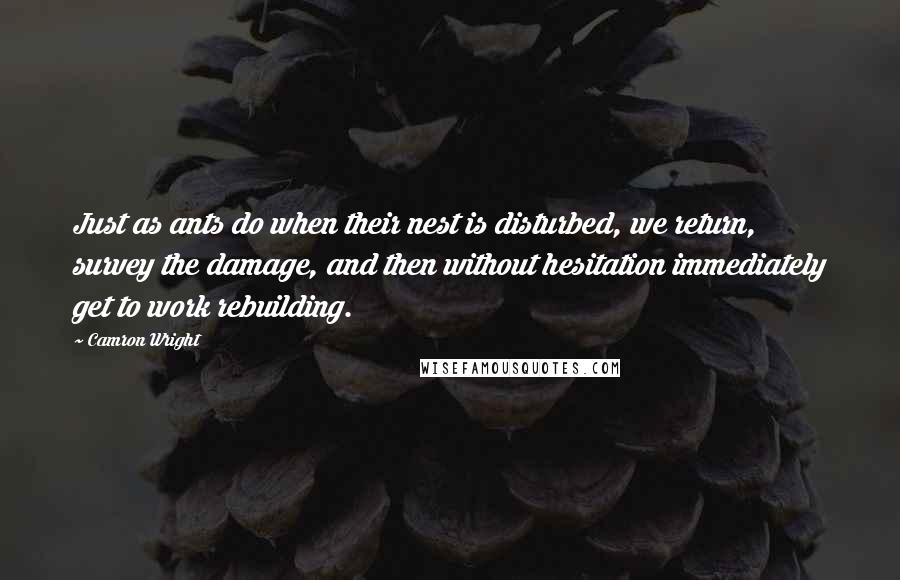 Camron Wright quotes: Just as ants do when their nest is disturbed, we return, survey the damage, and then without hesitation immediately get to work rebuilding. Camron Wright quotes: Just as ants do when their nest is disturbed, we return, survey the damage, and then without hesitation immediately get to work rebuilding.