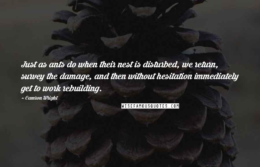 Camron Wright quotes: Just as ants do when their nest is disturbed, we return, survey the damage, and then without hesitation immediately get to work rebuilding.