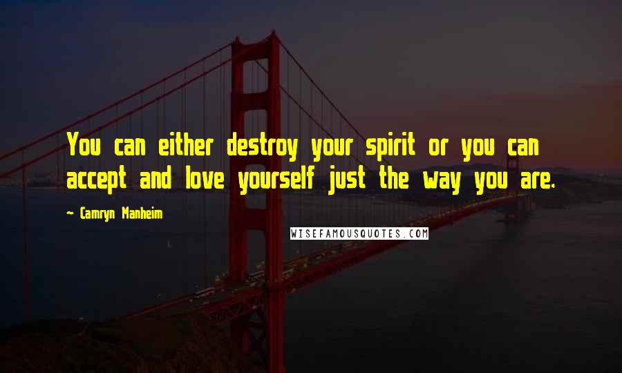 Camryn Manheim quotes: You can either destroy your spirit or you can accept and love yourself just the way you are.