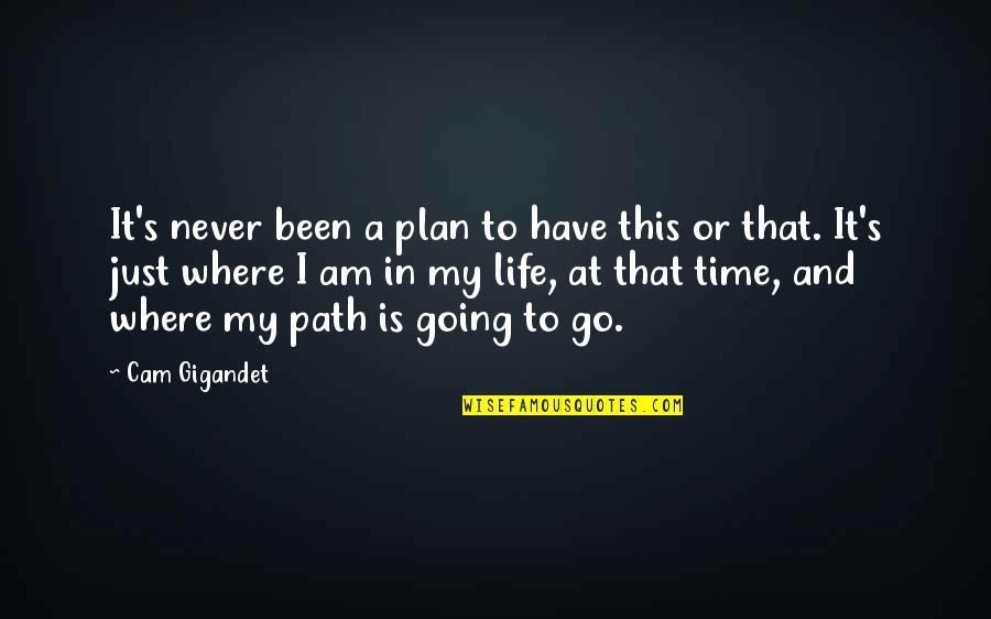 Cam's Quotes By Cam Gigandet: It's never been a plan to have this