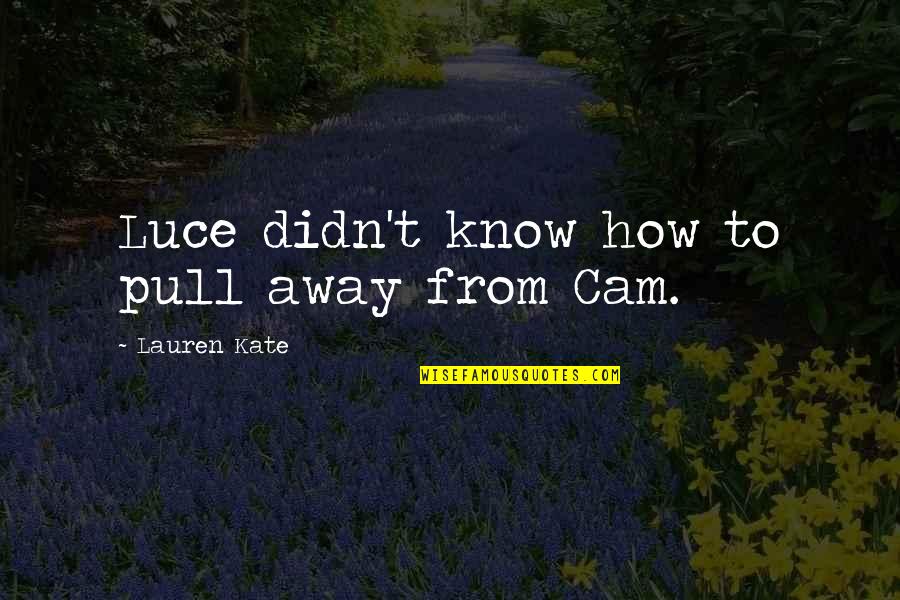 Cam's Quotes By Lauren Kate: Luce didn't know how to pull away from