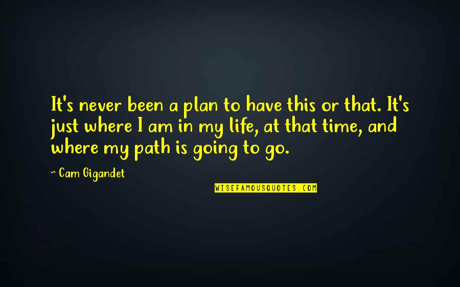 Cam'st Quotes By Cam Gigandet: It's never been a plan to have this