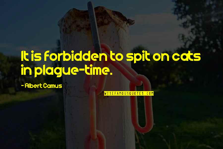 Camus Plague Quotes By Albert Camus: It is forbidden to spit on cats in Camus Plague Quotes By Albert Camus: It is forbidden to spit on cats in