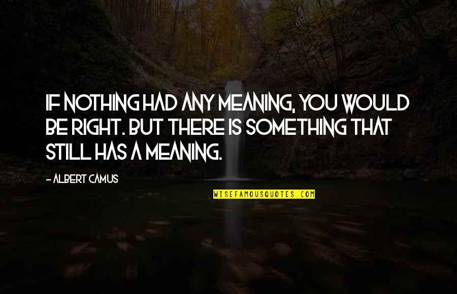 Camus Quotes By Albert Camus: If nothing had any meaning, you would be