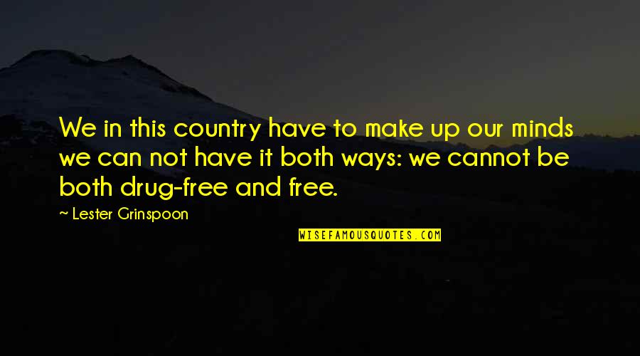 Can And Cannot Quotes By Lester Grinspoon: We in this country have to make up