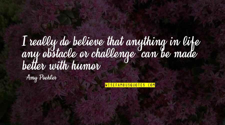 Can Do Better Quotes By Amy Poehler: I really do believe that anything in life,