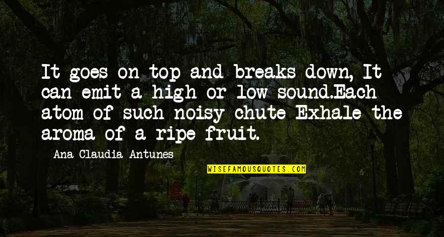 Can Exhale Quotes By Ana Claudia Antunes: It goes on top and breaks down, It