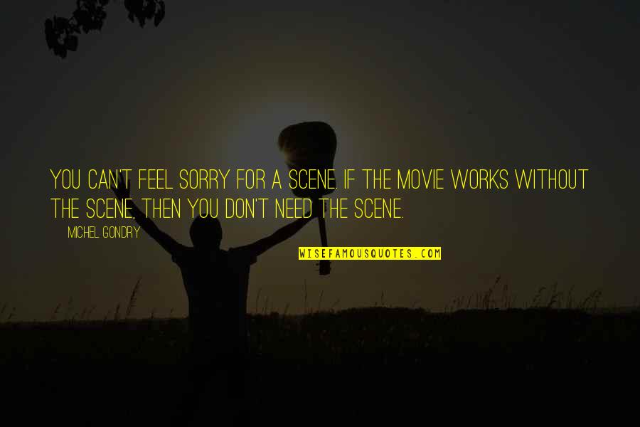 Can Feel Sorry Quotes By Michel Gondry: You can't feel sorry for a scene. If Can Feel Sorry Quotes By Michel Gondry: You can't feel sorry for a scene. If