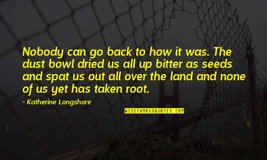 Can Go Back Quotes By Katherine Longshore: Nobody can go back to how it was.