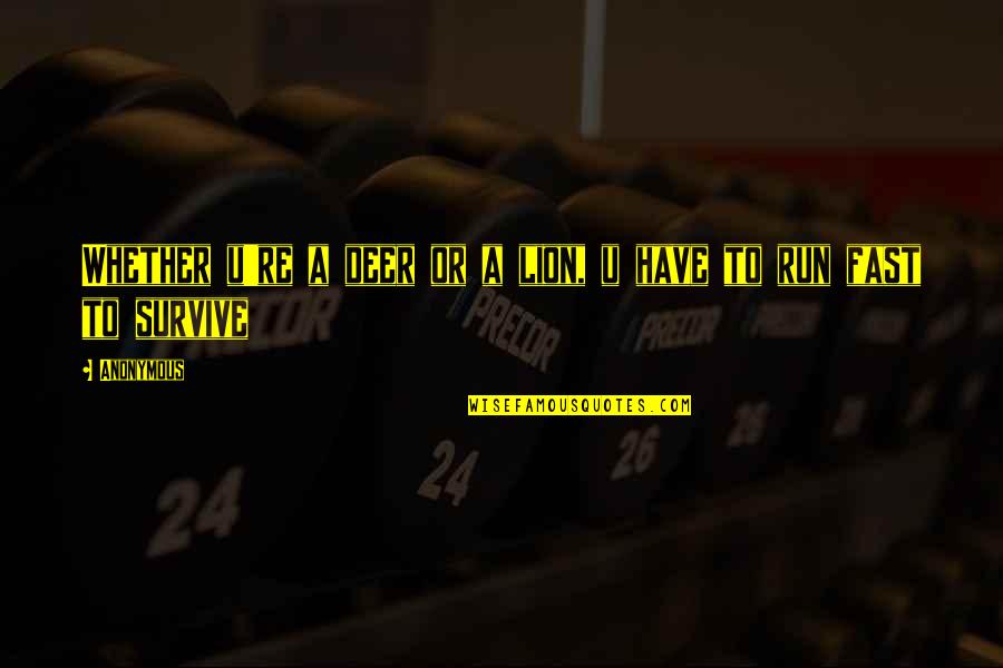 Can God Take Reincarnates Quotes By Anonymous: Whether u're a deer or a lion, u
