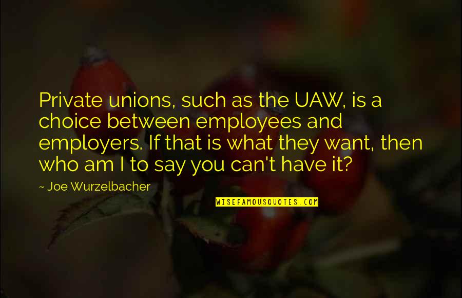 Can Have What You Want Quotes By Joe Wurzelbacher: Private unions, such as the UAW, is a