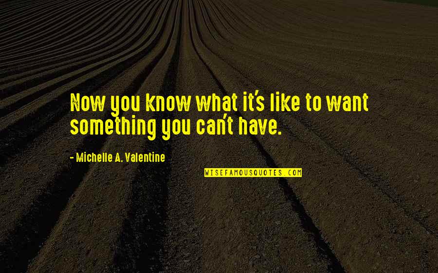 Can Have What You Want Quotes By Michelle A. Valentine: Now you know what it's like to want