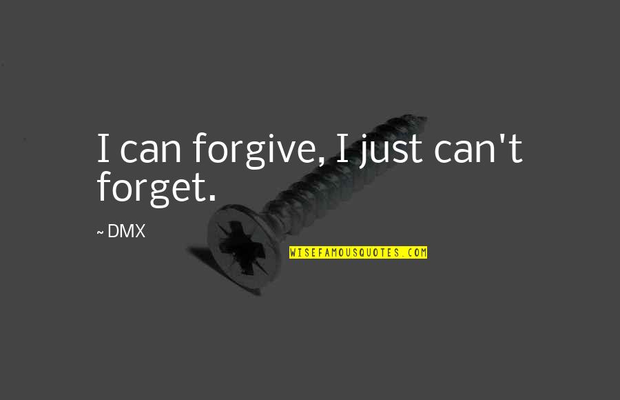 Can I Forgive Quotes By DMX: I can forgive, I just can't forget.