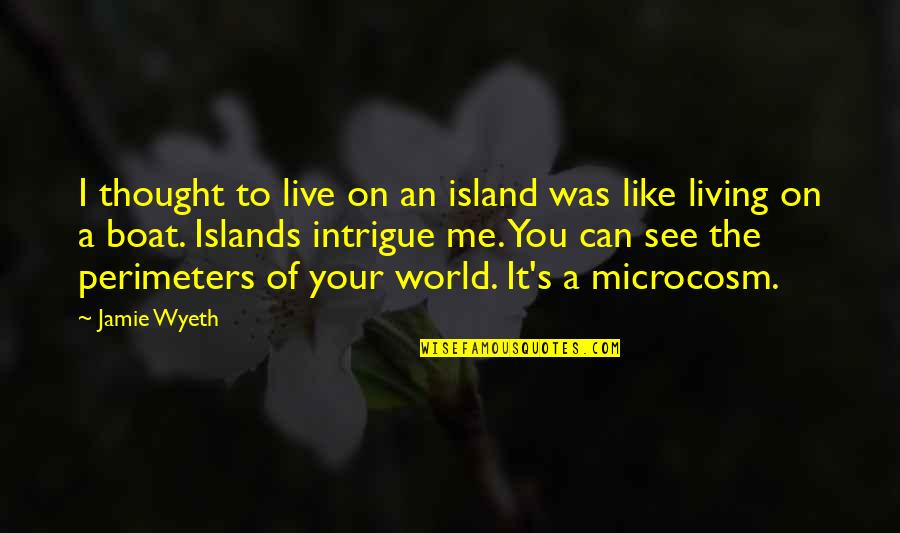 Can I Live Quotes By Jamie Wyeth: I thought to live on an island was