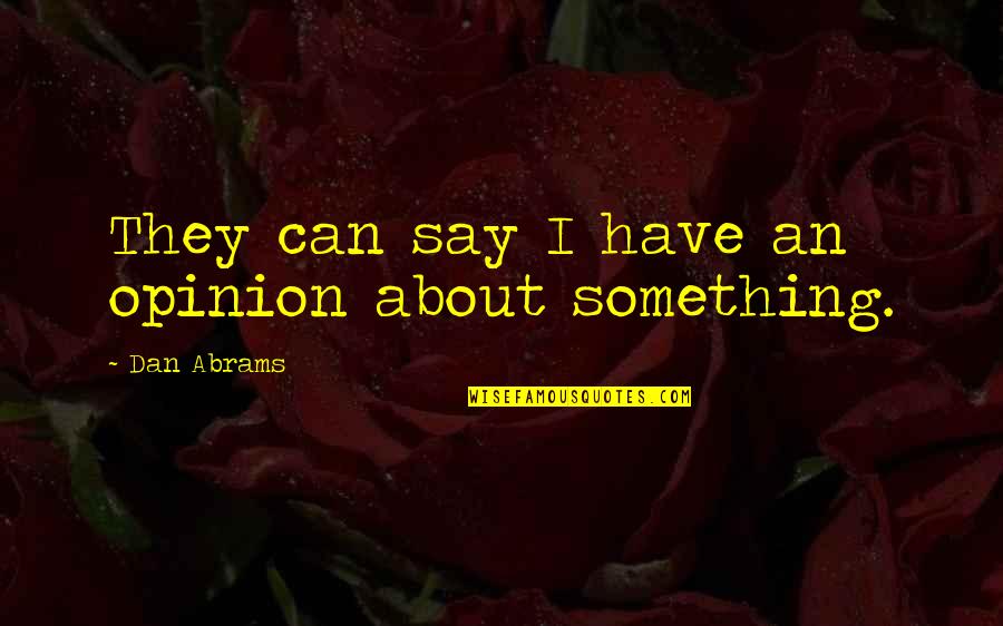 Can I Say Something Quotes By Dan Abrams: They can say I have an opinion about