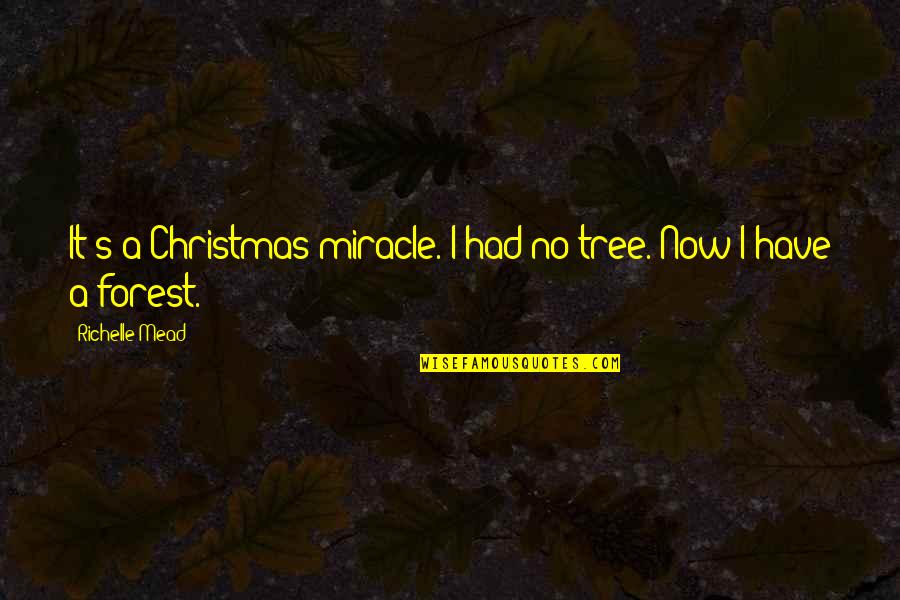 Can I Tell You A Secret Quotes By Richelle Mead: It's a Christmas miracle. I had no tree.