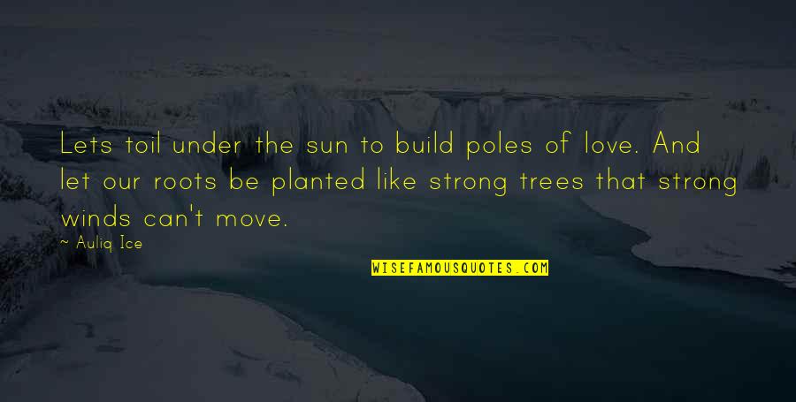 Can Love Others Quotes By Auliq Ice: Lets toil under the sun to build poles