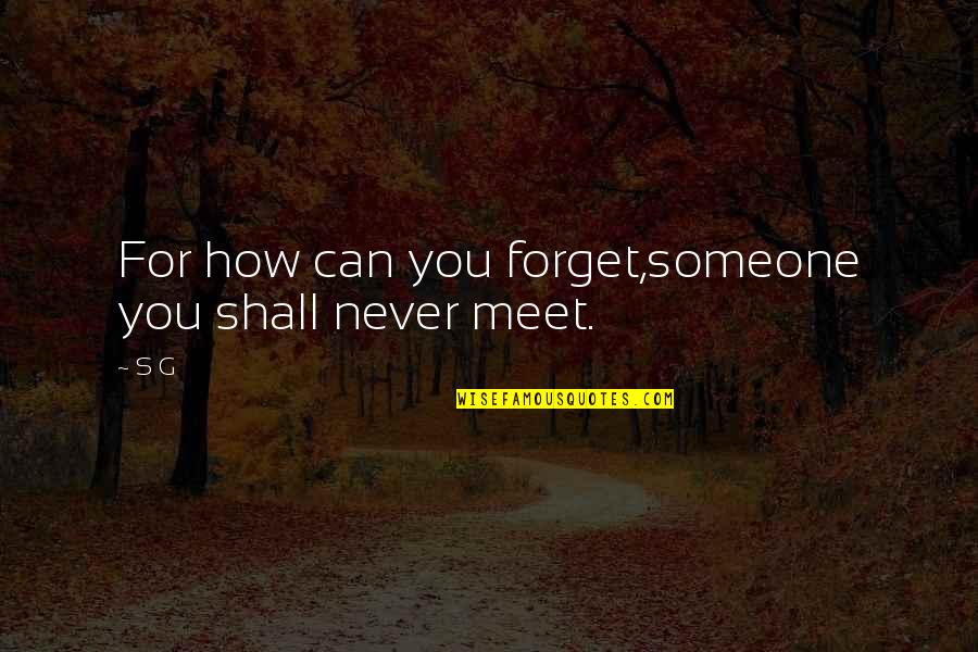 Can Never Forget You Quotes By S G: For how can you forget,someone you shall never