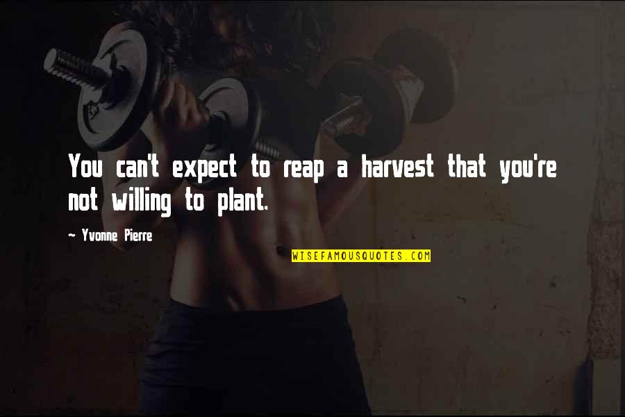 Can Not Give Up Quotes By Yvonne Pierre: You can't expect to reap a harvest that
