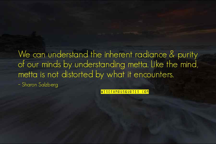 Can Not Understand Quotes By Sharon Salzberg: We can understand the inherent radiance & purity