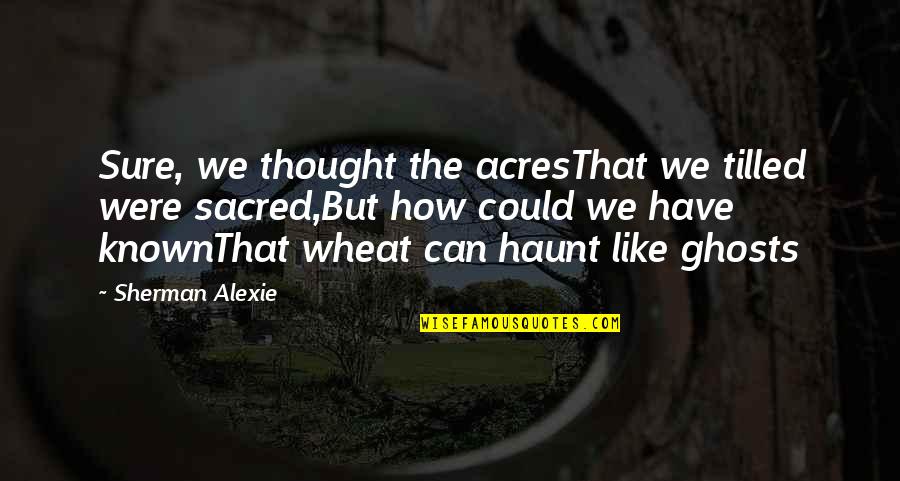 Can Poems Have Quotes By Sherman Alexie: Sure, we thought the acresThat we tilled were