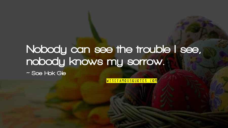Can See Quotes By Soe Hok Gie: Nobody can see the trouble I see, nobody