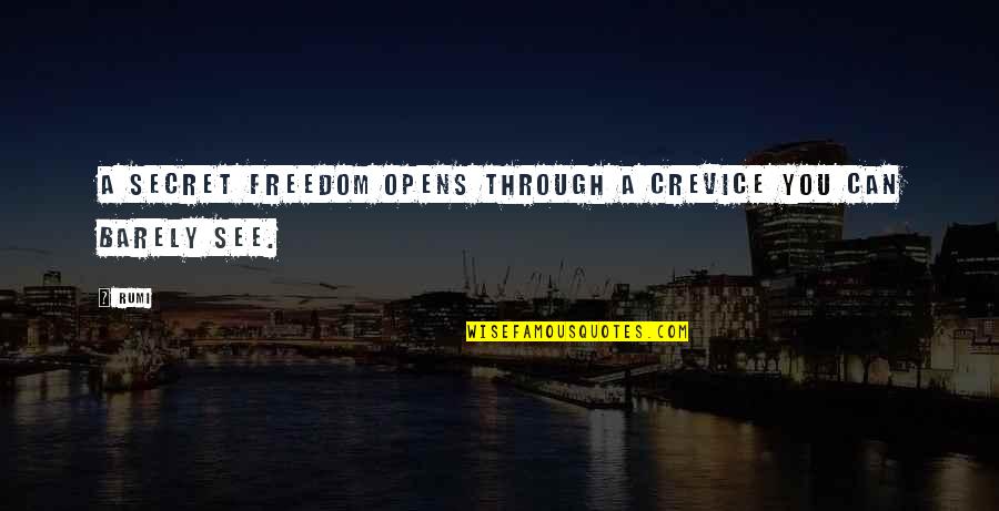 Can See Through You Quotes By Rumi: A secret freedom opens through a crevice you