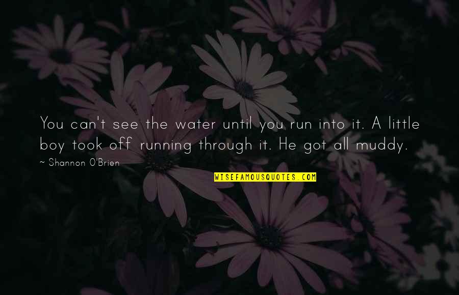 Can See Through You Quotes By Shannon O'Brien: You can't see the water until you run