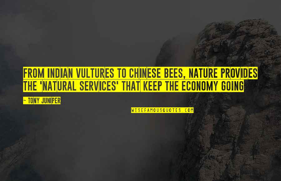Can Stop Thinking About Someone Quotes By Tony Juniper: From Indian vultures to Chinese bees, Nature provides