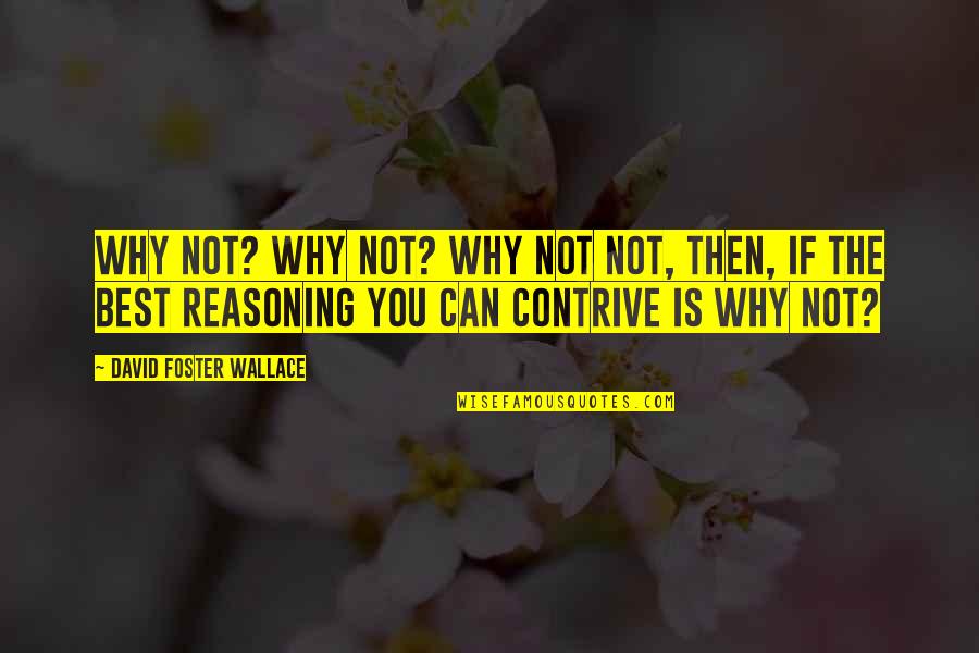 Can Survive Off Neglect Quotes By David Foster Wallace: Why not? Why not? Why not not, then,