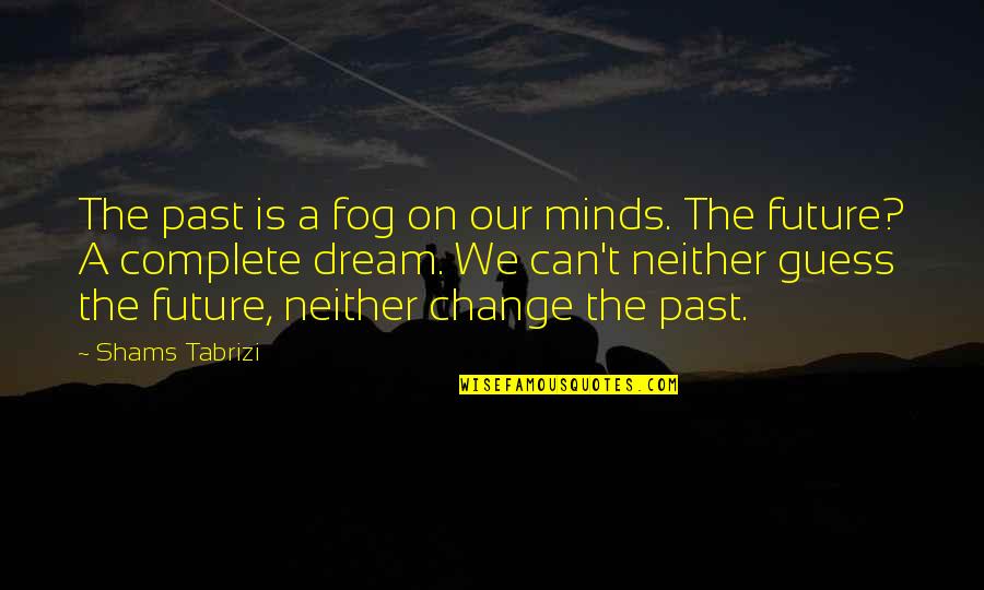 Can T Change The Past Quotes By Shams Tabrizi: The past is a fog on our minds.