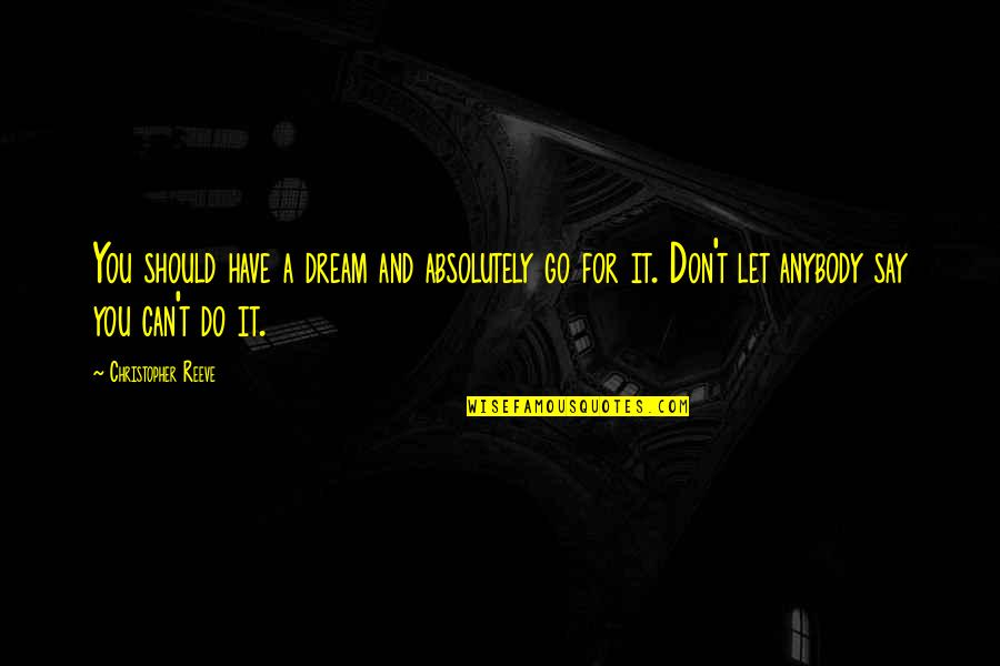 Can T Let Go Quotes By Christopher Reeve: You should have a dream and absolutely go