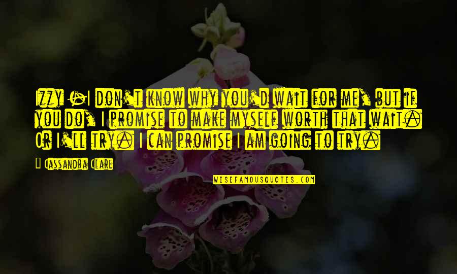 Can U Promise Me Quotes By Cassandra Clare: Izzy -I don't know why you'd wait for