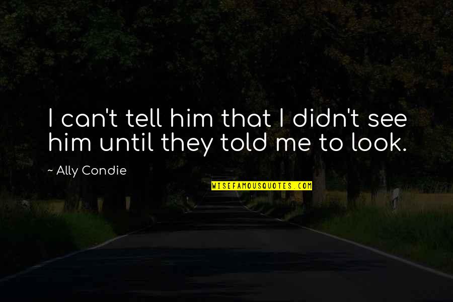 Can U See Me Quotes By Ally Condie: I can't tell him that I didn't see